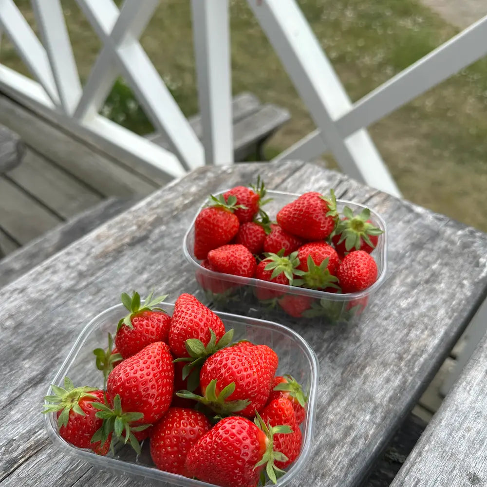 Yrjölän makea mansikka (Tuore)
