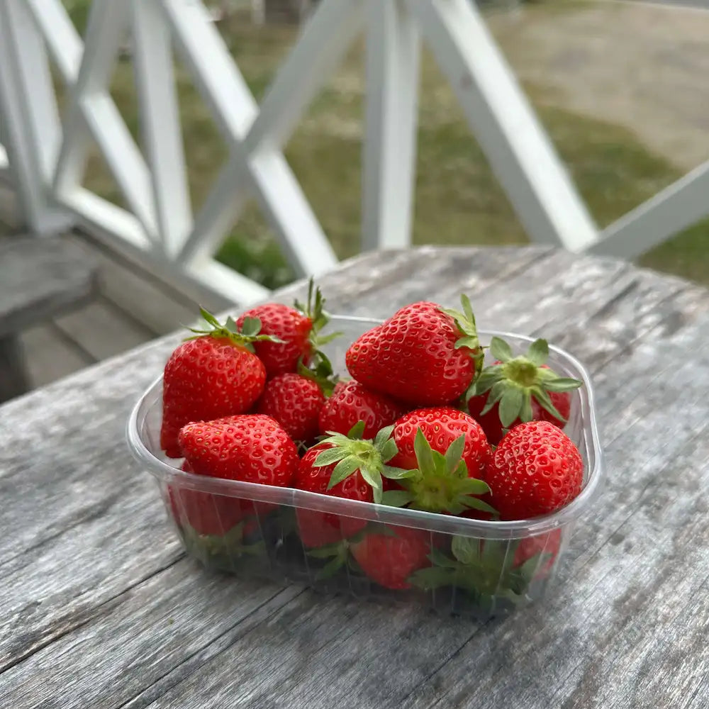 Yrjölän makea mansikka (Tuore)