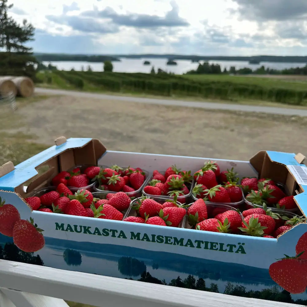 Yrjölän makea mansikka (Tuore)