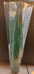Ruohosipuli (30g)
